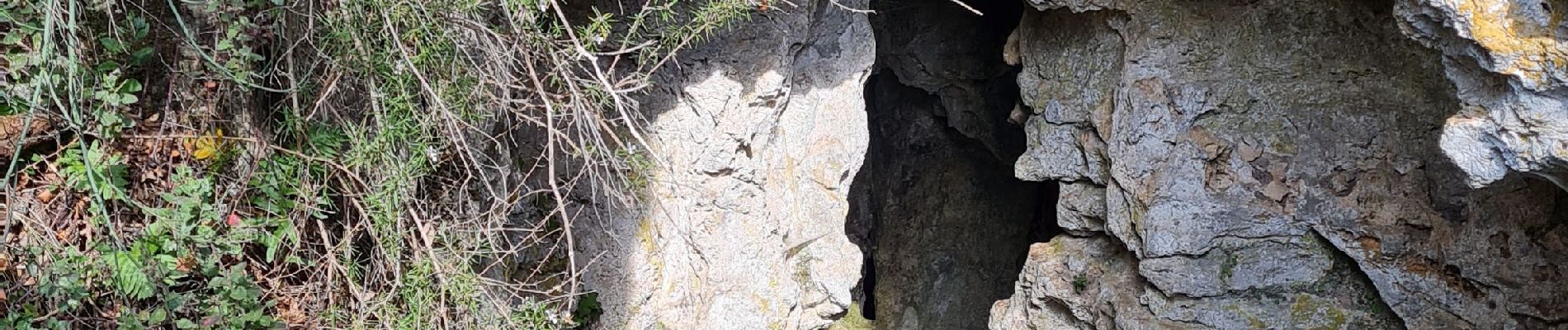 Tocht Stappen Méounes-lès-Montrieux - bergerie des maigres. garagaï - Photo