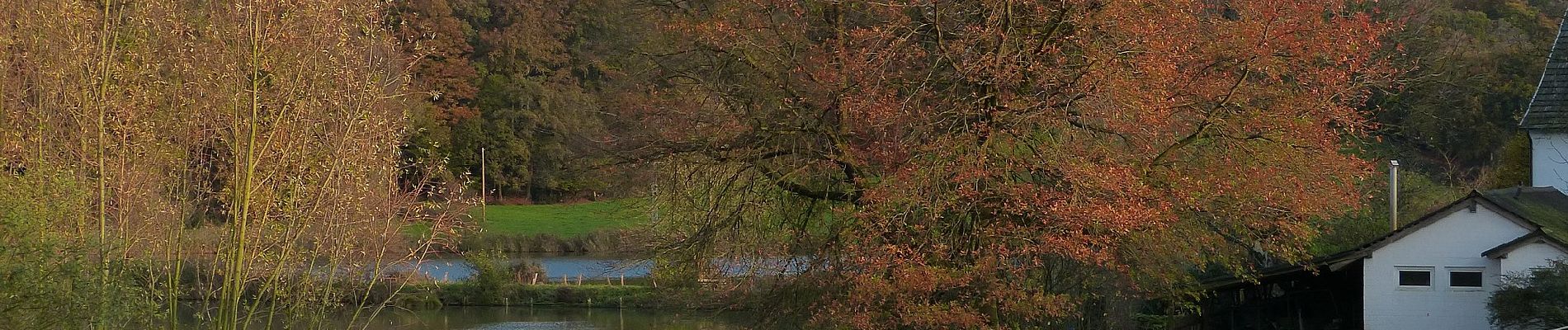 Tocht Te voet Erkrath - Neanderlandsteig Entdeckerschleife 