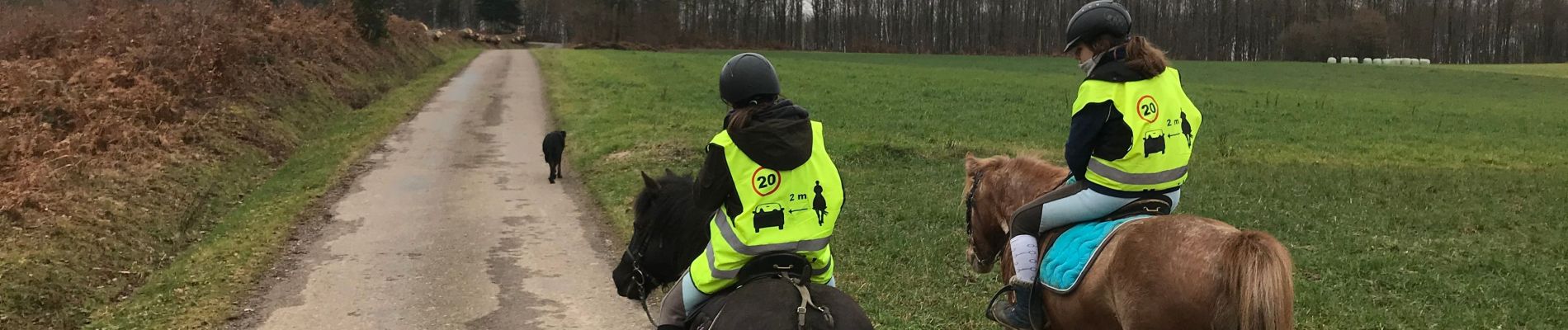 Tour Reiten Fougerolles-Saint-Valbert - Sarcenot 1h30 à pied ou 1h à poney  - Photo