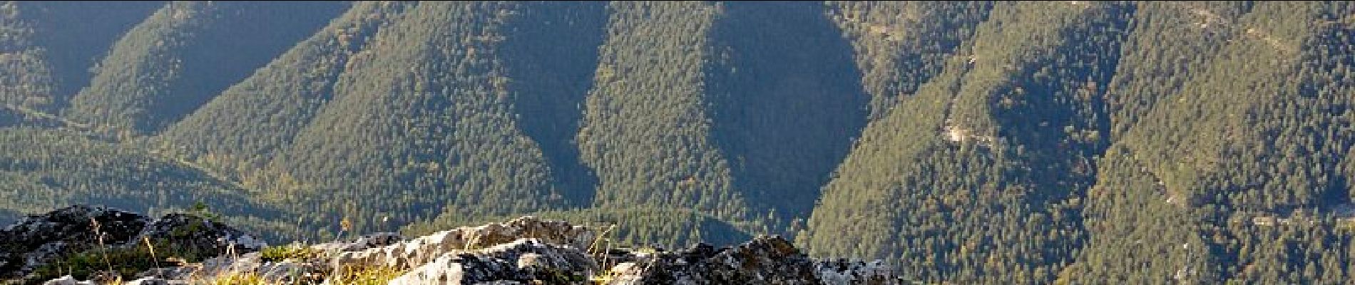 Tocht Te voet Gemeinde Pernitz - Pernitz Bhf - Neusiedl - Gauermann Hütte - Photo