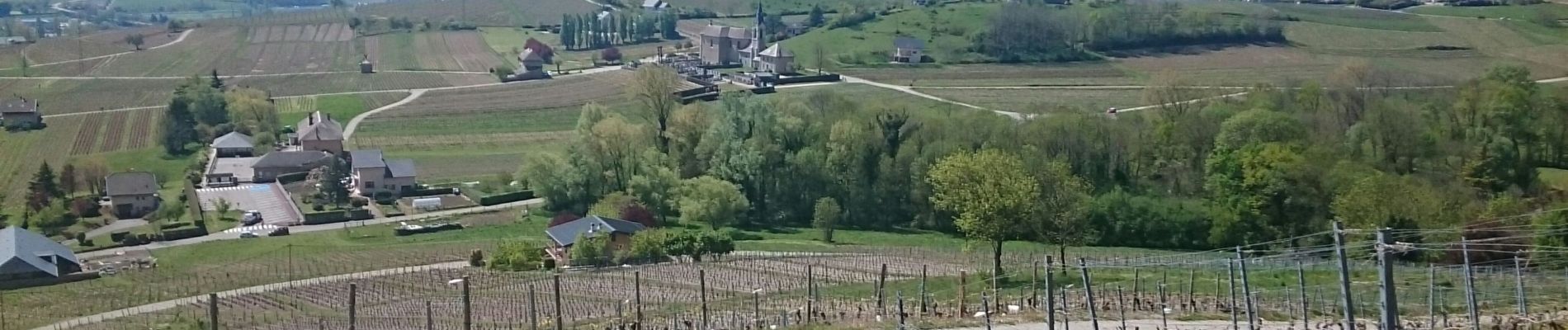 Trail Walking Saint-Jeoire-Prieuré - Tours de Chignin  - Photo