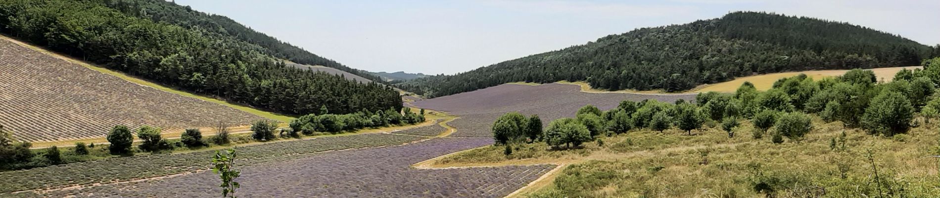 Tour Wandern Les Omergues - Saint André de villeseche. la pyramide du moine  - Photo