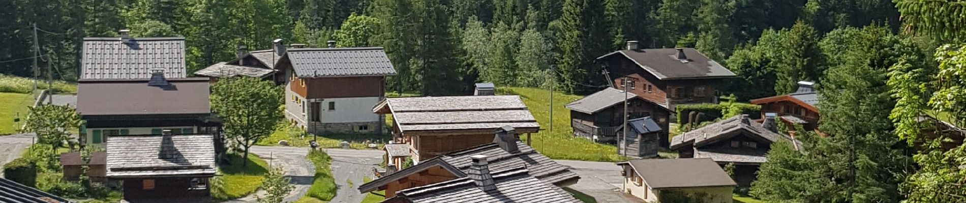 Excursión Senderismo Chamonix-Mont-Blanc - Montroc à Vallorcine  - Photo