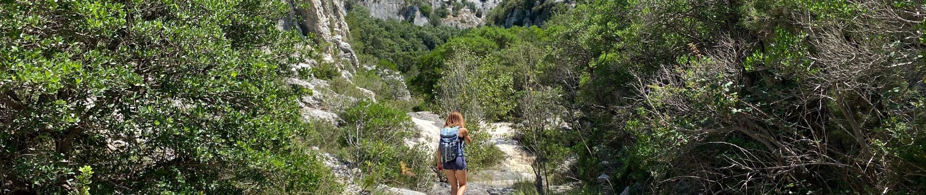 Tocht Stappen Poulx - La Baume depuis Proulx - Photo