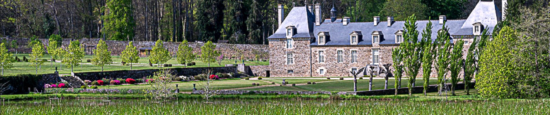 Tocht Stappen Plouër-sur-Rance - Asphodèle - Photo