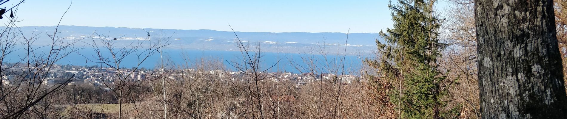 Tour Wandern Thonon-les-Bains - La fontaine couverte - Photo