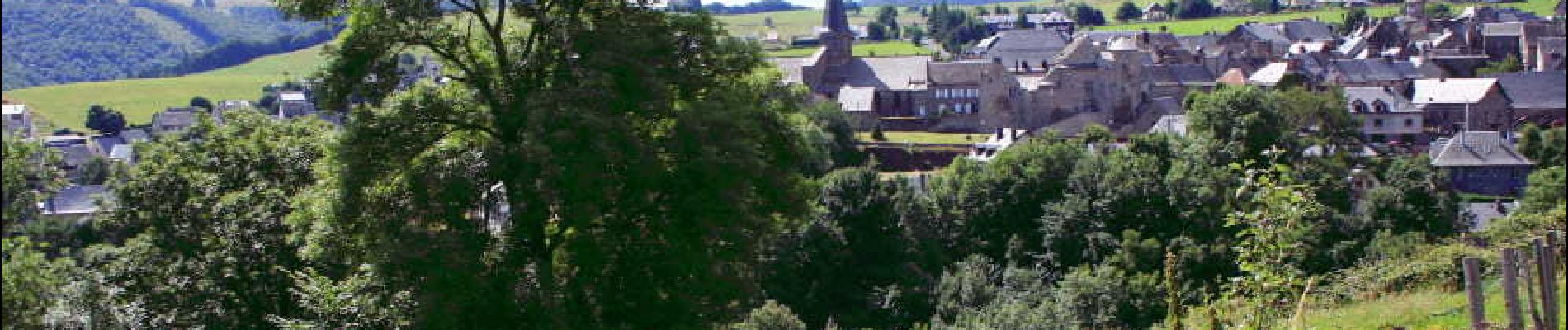 Tocht Stappen Besse-et-Saint-Anastaise - Besse_Ourciere - Photo