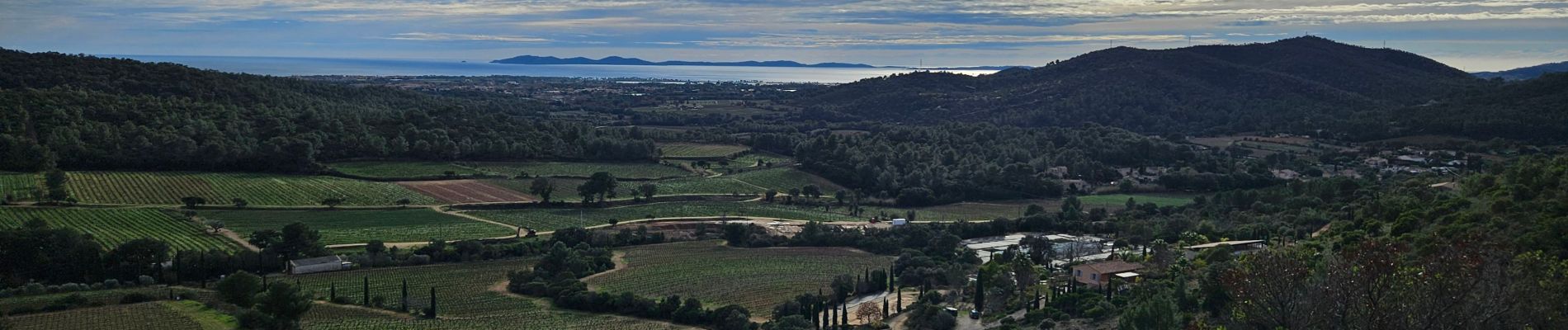 Excursión Senderismo La Londe-les-Maures - Dolmen de Gaoutabry et balade dans les Maures - Photo