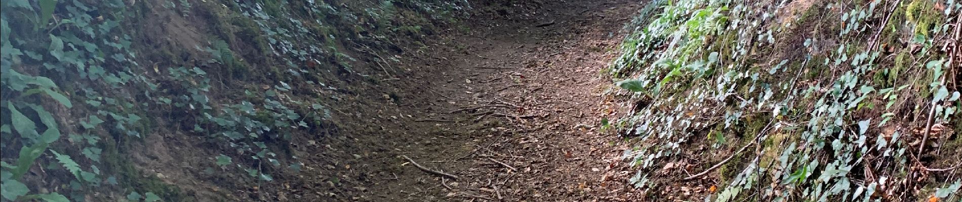 Randonnée Marche Saint-Pois - Tours de la vallée de la sée - Photo