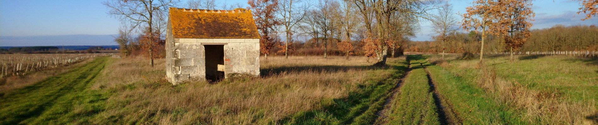 Tour Wandern Saint-Georges-sur-Cher - Saint-Georges-sur-Cher - les Magasins Montfourgon le Moulin du Porteau - 10km 110m 2h25 - 2021 01 02 - Photo