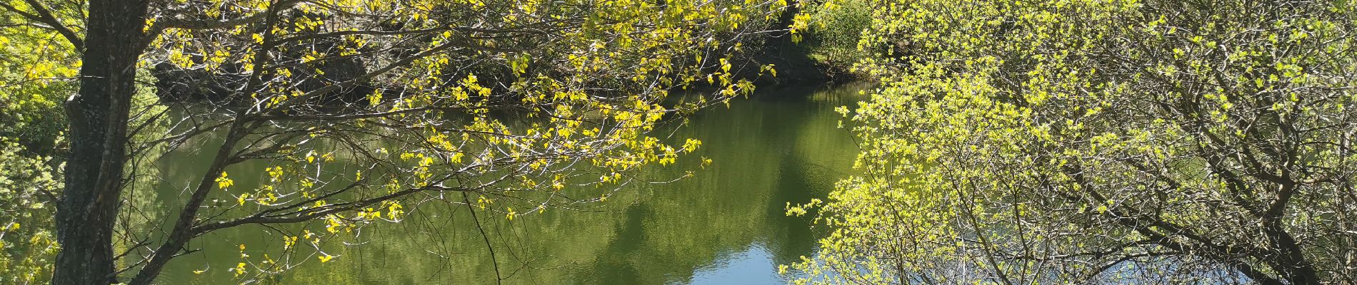 Punto de interés Collobrières - petit lac - Photo