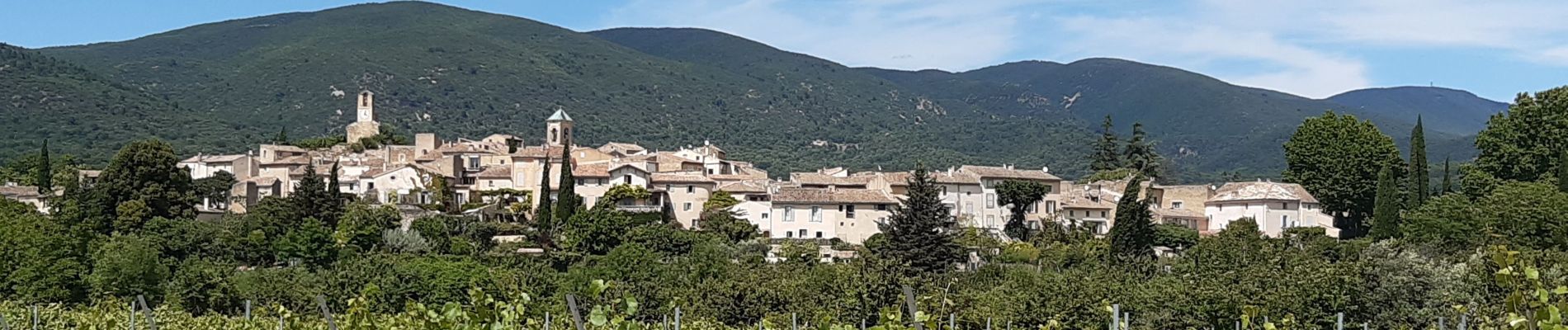 Tour Wandern Cadenet - Cadenet Lourmarin en boucle - Photo