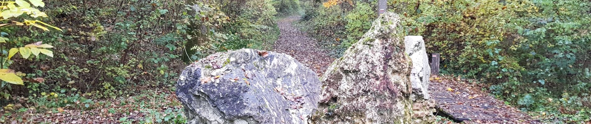 Trail Walking La Ferté-sous-Jouarre - la Ferte sous Jouare - Photo