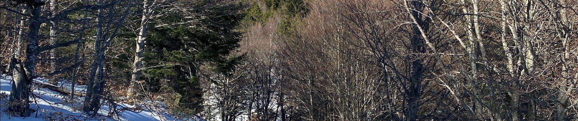 Randonnée Marche Pont de Montvert - Sud Mont Lozère - Le Pic Cassini - Photo