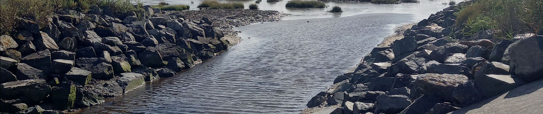 Tocht Stappen Port-des-Barques - st froult entre mer et marais 11.5 - Photo