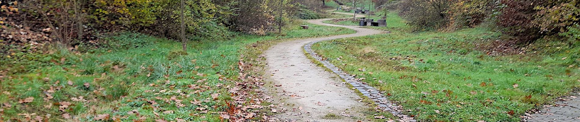 Randonnée A pied Inconnu - Trier Wanderweg T3 (Weißhausbrunnen) - Photo