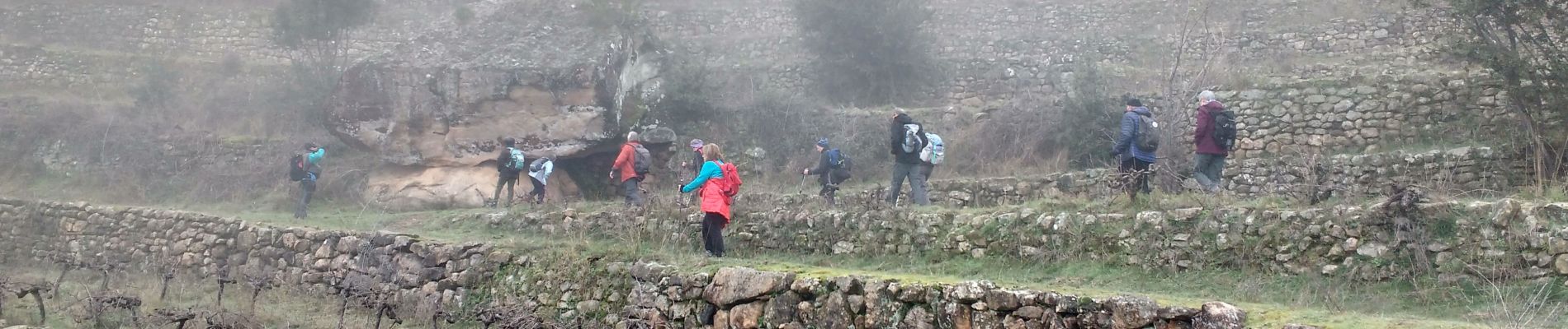 Trail Walking Ribes - Ribes-Saint André Lachamp-Le Coquou - Photo