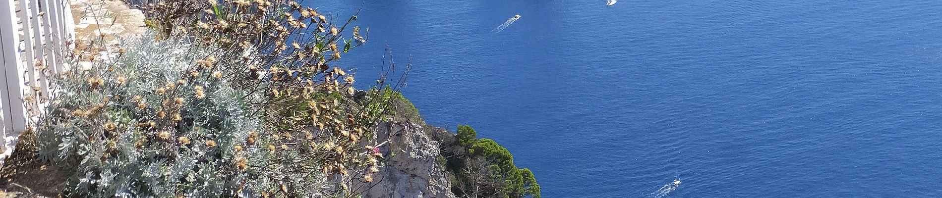 Trail On foot Anacapri - IT-390 - Photo