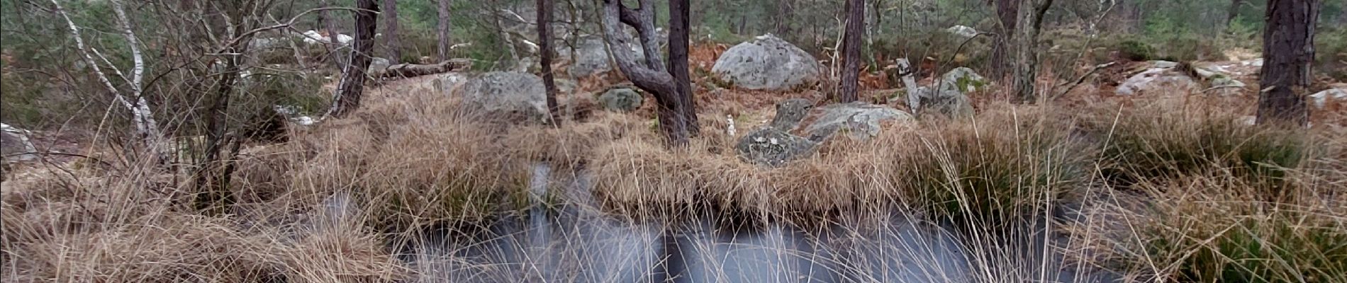 Point of interest Fontainebleau - Unnamed POI - Photo