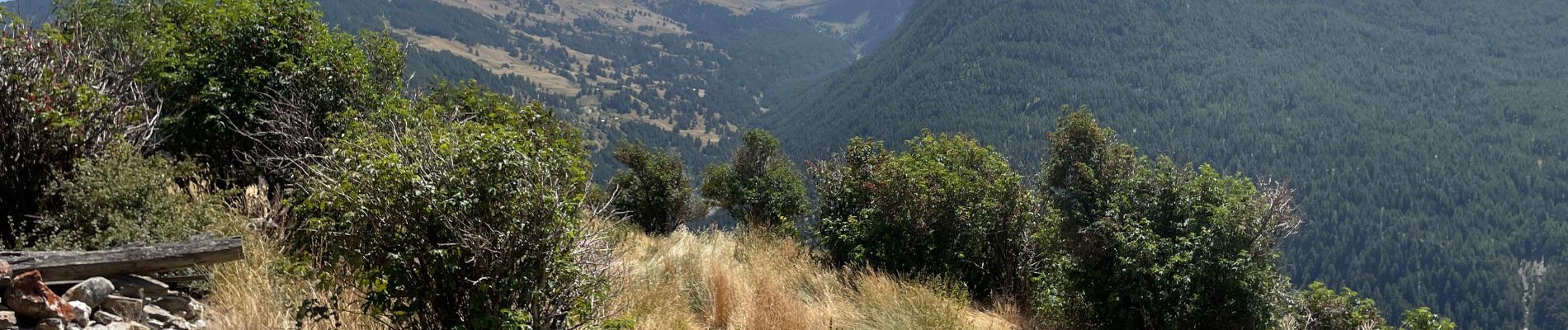 Tocht Stappen Aiguilles - Chalvet des Borels - Photo