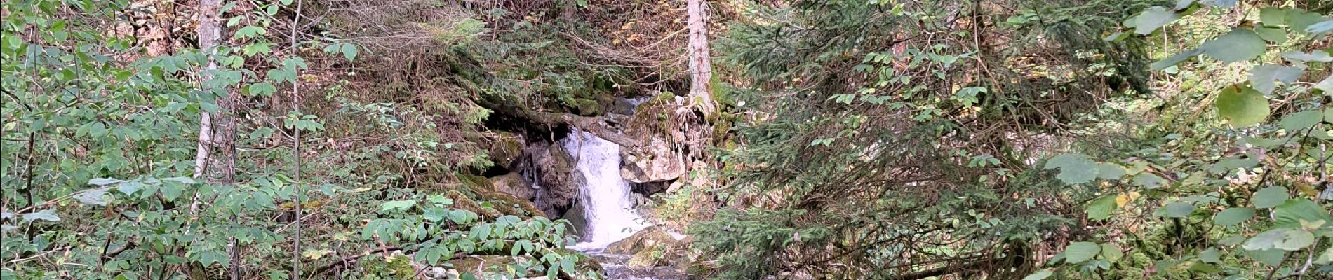 Tour Wandern Talloires-Montmin - Chalet de l'Aups depuis la Côte par Col de la Forclaz - Photo