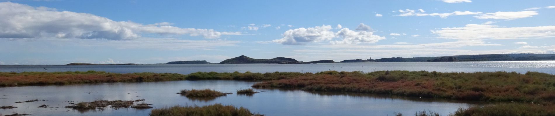 Tour Wandern Bages - De Bages à Peyriac-de-Mer - Tour de la lagune  - Photo