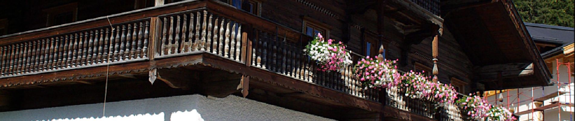 Excursión A pie Gemeinde Wald im Pinzgau - Wanderweg 165 - Wald/Königsleiten - Photo