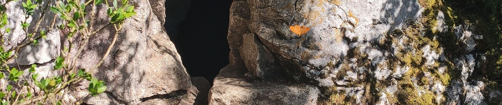 Point d'intérêt Pasques - Grotte-des-Célerons_(Puit) - Photo