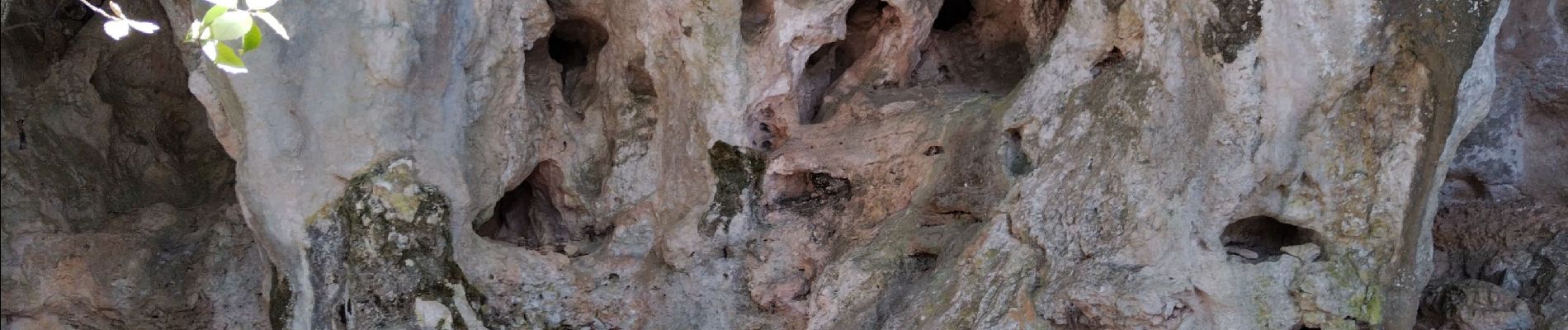 Tocht Stappen Vallon-Pont-d'Arc - Grottes du rocher de la Mathe - Photo