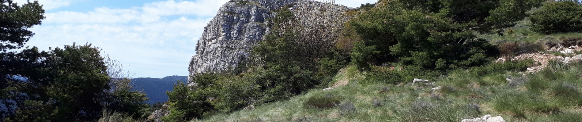 Tocht Stappen Saint-Auban - L'arpille près de Sausses - Photo