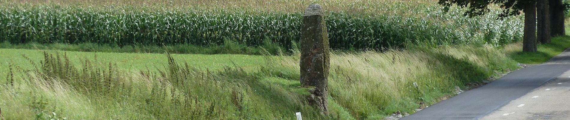 Tour Zu Fuß Durbuy - Les Mégalithes (8) - Photo