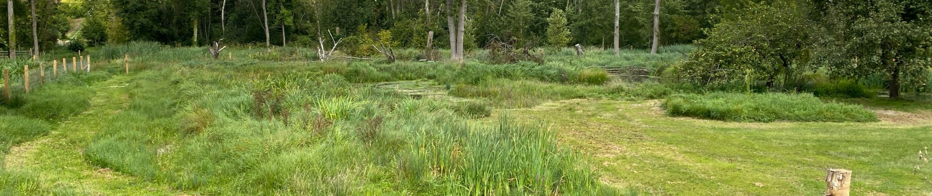 POI Estouy - Marais du moulin de la porte sentier de découverte  - Photo