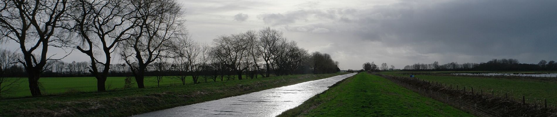 Tocht Te voet South Holland - Willow Tree Fen Blue intermediate route - Photo