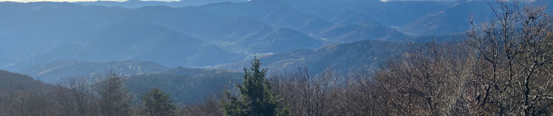 Randonnée Marche Lautenbachzell - 23 11 24  - Photo