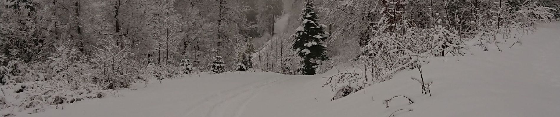 Excursión Raquetas de nieve Les Premiers-Sapins - rando raquettes Nods  - Photo