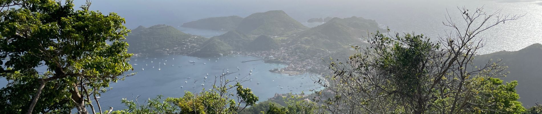 Tour Wandern Terre-de-Haut - Le Chameau Terre de haut - Photo