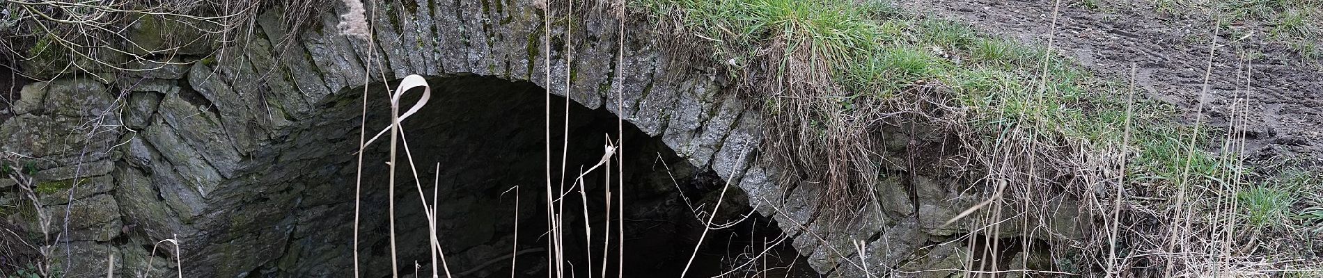 Randonnée A pied Helmstadt-Bargen - Rundwanderweg Bargen 1: Kälbertshausen-Weg - Photo