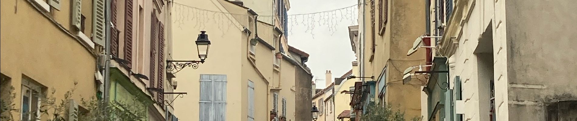 Tocht Stappen Chatou - De Chatou à Marly le Roi - Photo