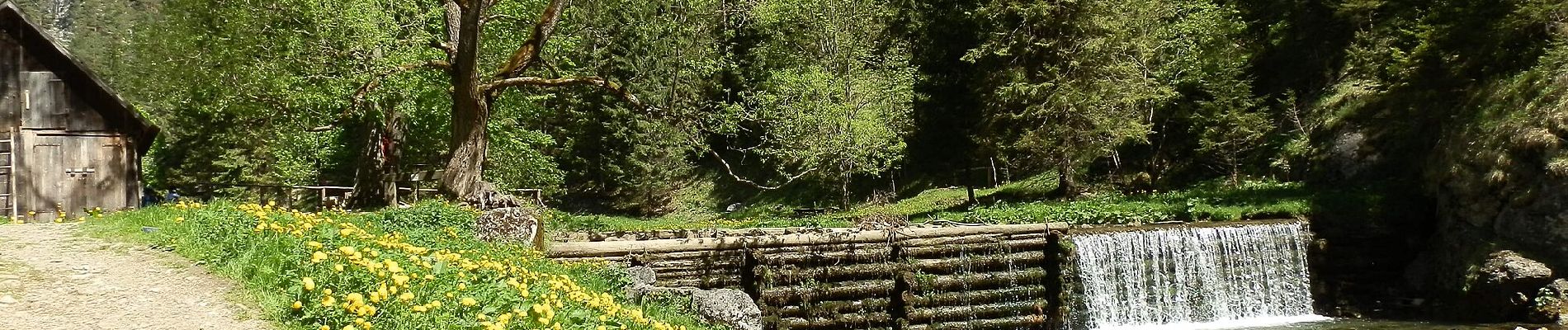 Tocht Te voet okres Liptovský Mikuláš - Náučný chodník Prosiecka a Kvačianska dolina - Photo