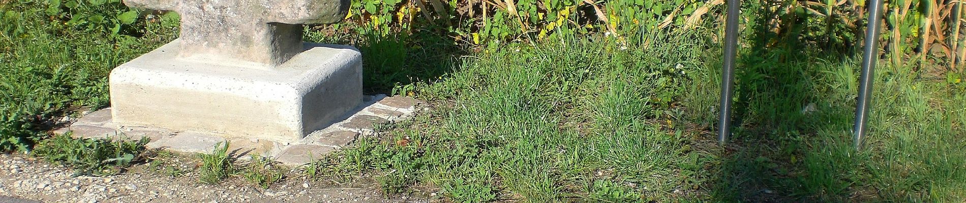 Percorso A piedi Wendelstein - Kornburg - Neuses - Photo