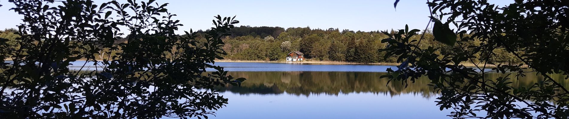 Tocht Stappen Le Frasnois - Pic de l'aigle et les 4 lacs - Photo