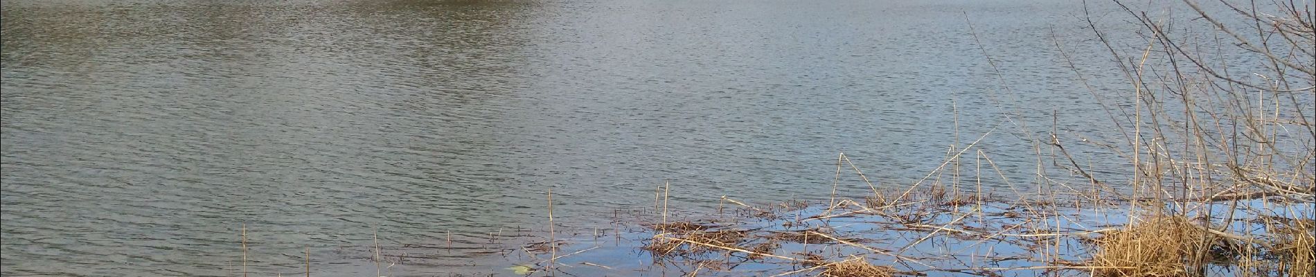 Randonnée Marche Valzin-en-Petite-Montagne - lac de Viremont  - Photo