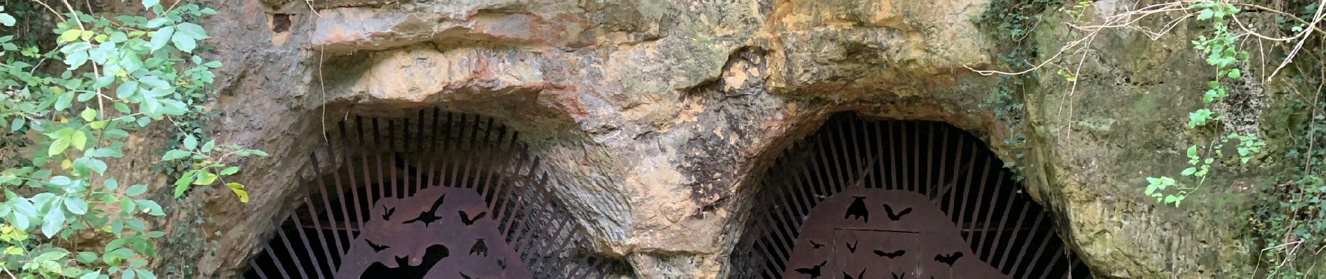 Randonnée Marche Heers - Les grottes de Henisdaal à Vechmaal - Photo