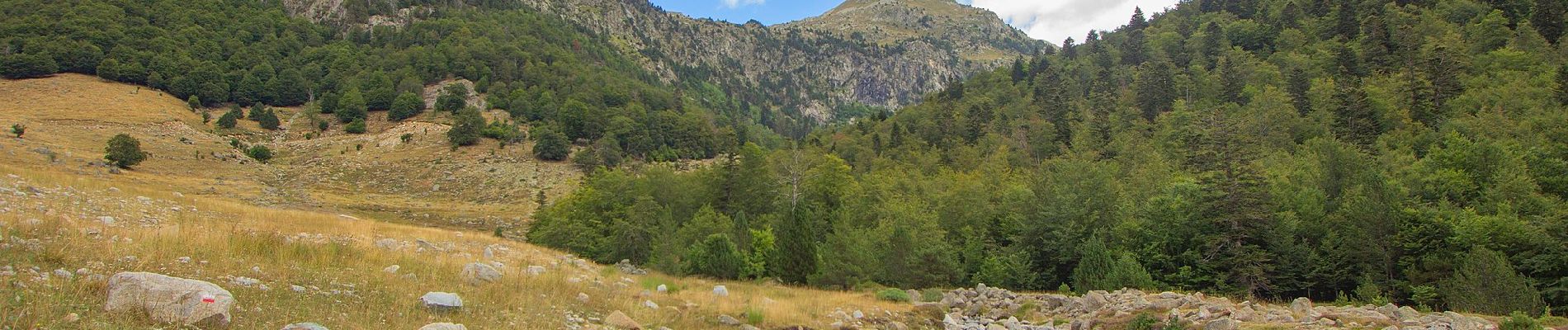 Tocht Te voet Vielha e Mijaran - Camí Natural del Port de Vielha - Photo