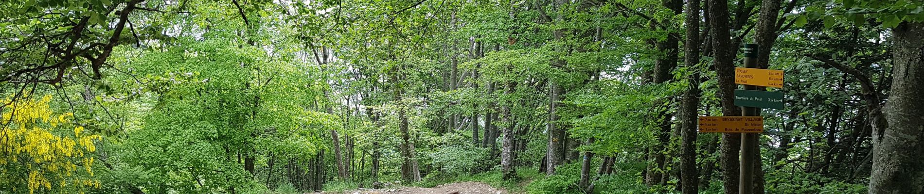 Excursión Bici de montaña Claix - Le Rocher du Chatelard en boucle par le Peuil. - Photo