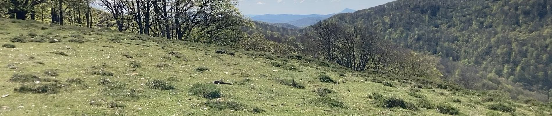 Point d'intérêt Beintza-Labaien - Sommet 1011m. - Photo