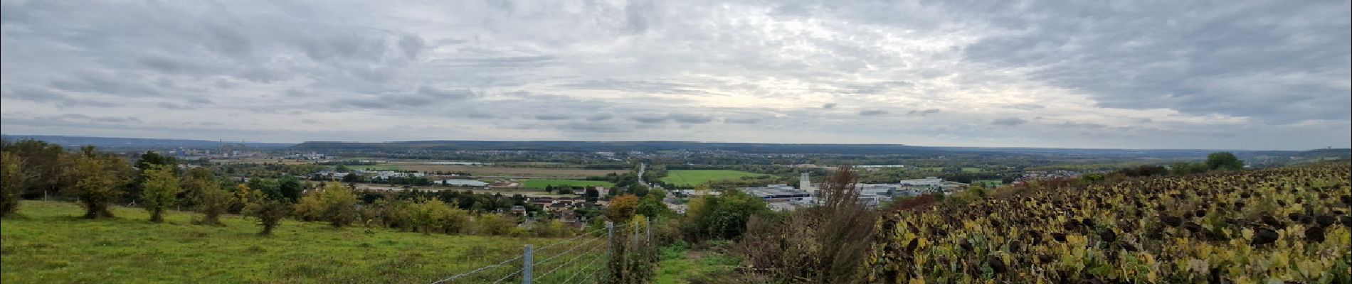 Randonnée Marche Les Authieux-sur-le-Port-Saint-Ouen - 20241015-sotteville sous le val - Photo