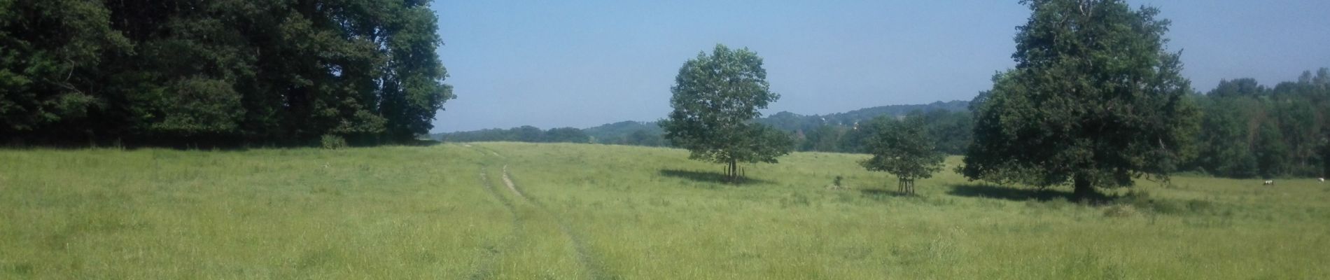 Tour Wandern Ohey - bois-dohey - Photo