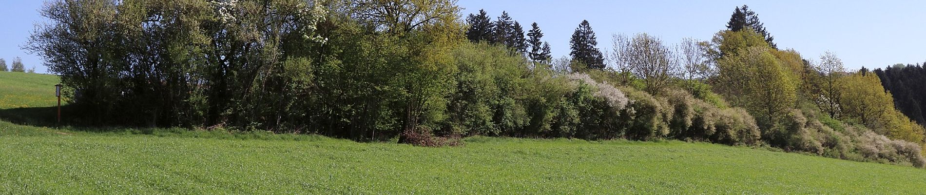 Randonnée A pied Rainbach im Innkreis - Rundweg - Photo