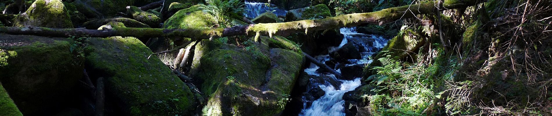 Tour Zu Fuß Kienberg - Opatská stezka II - Photo